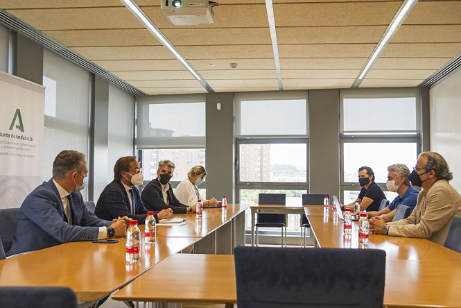 Imagen de la reunión (JUNTA)