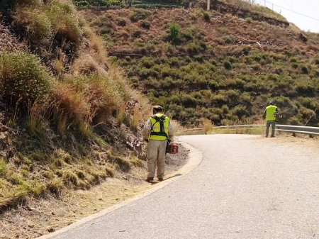 Operarios en tareas de desbroce (AYTO. ALMUÑÉCAR) Operarios en tareas de desbroce (AYTO. ALMUÑÉCAR)