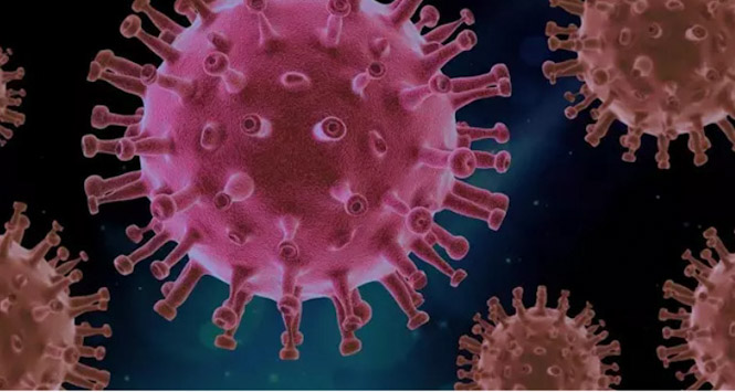 Recreación artística del virus SARS-CoV-2 (PIXABAY/CSIC) 