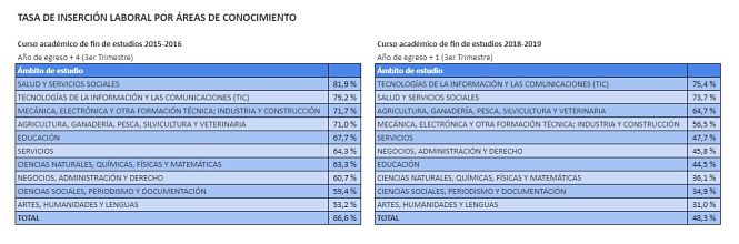 Tabla Inserción Laboral por ramas (JUNTA)