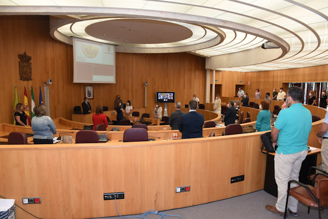 Pleno de la Diputación de Granada (S. BÁRCENA/JM GIL/DIPGRA)