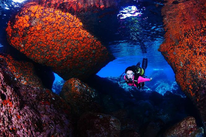 Una de las fotos participantes (AYTO. ALMUÑECAR) 