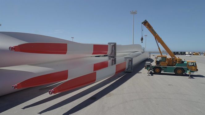 Aspas preparadas para el embarque en el puerto de Motril (PUERTO DE MOTRIL)