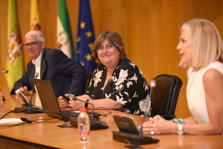 Sesión inicial de `Puentes` (R. MARTÍNEZ / DIPGRA)