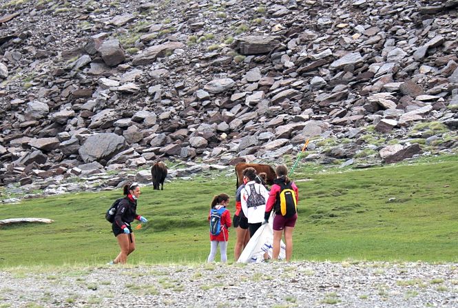 Voluntarios limpian de residuos el área esquiable de Sierra Nevada (CETURSA SIERRA NEVADA) 