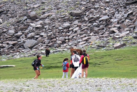 Voluntarios limpian de residuos el área esquiable de Sierra Nevada (CETURSA SIERRA NEVADA) 