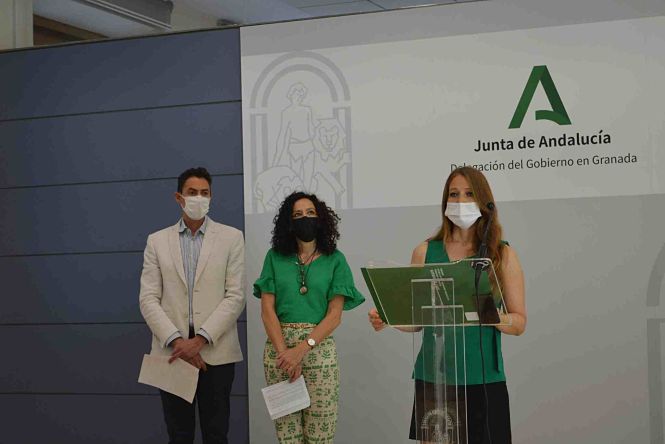 La delegada territorial de Empleo, Formación y Trabajo Autónomo y directora provincial del SAE, Virginia Fernández (JUNTA)