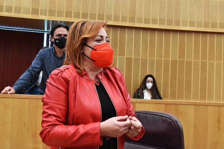 La Diputada Provincial de IU, Mari Carmen Pérez (IU)