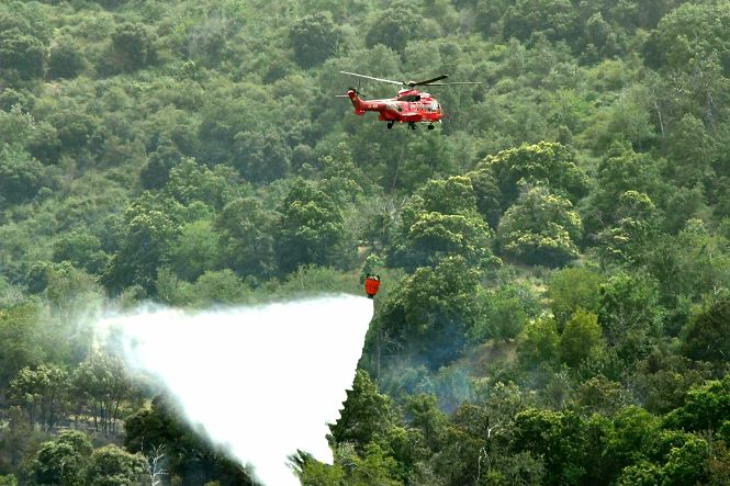 Un medio aéreo del Infoca echa agua sobre la zona del incendio (INFOCA)