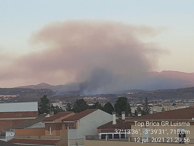 Incendio forestal en Jun (PLAN INFOCA) 