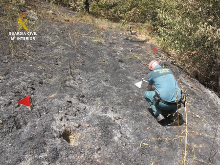 Un agente del Seprona en el lugar del incendio (GUARDIA CIVIL) 