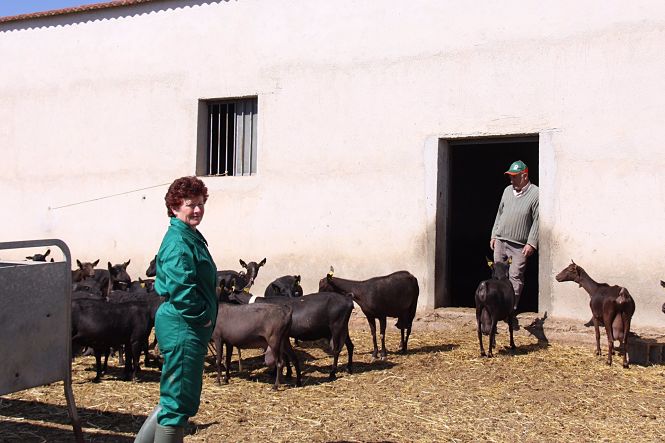Ganaderos con cabras en una imagen de archivo (UPA)