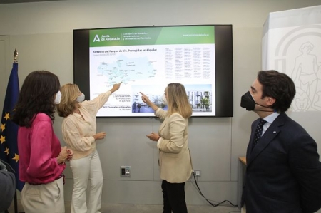 Presentaciónd e las viviendas de alquiler (JUNTA)