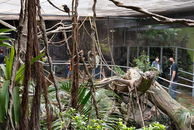 Imagen del Biodomo (PARQUE DE LAS CIENCIAS)