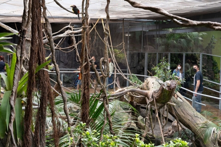 Imagen del Biodomo (PARQUE DE LAS CIENCIAS)