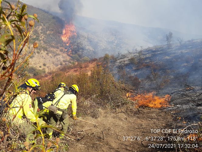 Miembros del Infoca durante la extinción de un incendio (INFOCA /ARCHIVO) 