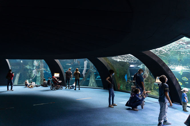 Panorámica de la zona de acuario del Biodomo (PARQUE DE LAS CIENCIAS)