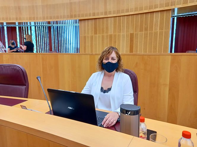 La portavoz Portavoz del Grupo Provincial de VOX en Granada, Cristina Jiménez (VOX)
