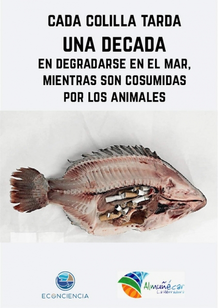 AYUNTAMIENTO ALMUÑÉCAR