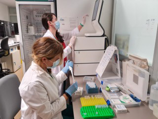 Realización de u a biopsia líquida (JUNTA) 