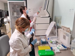 Realización de u a biopsia líquida (JUNTA) 