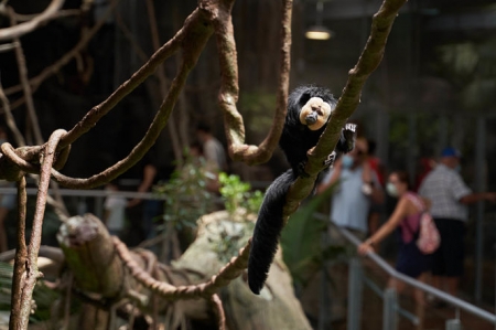 Imagen del BioDomo (PARQUE DE LAS CIENCIAS) 