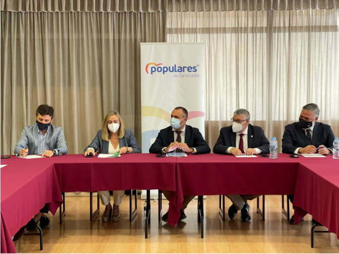 Imagen de la reunión (PP) 