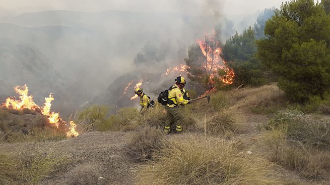 Bomberos del Infoca trabajan en la zona del incendio (INFOCA) 