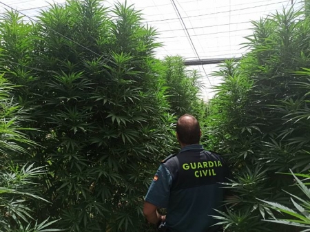 Un agente de la Guardia Civil en la plantación (GUARDIA CIVIL) 