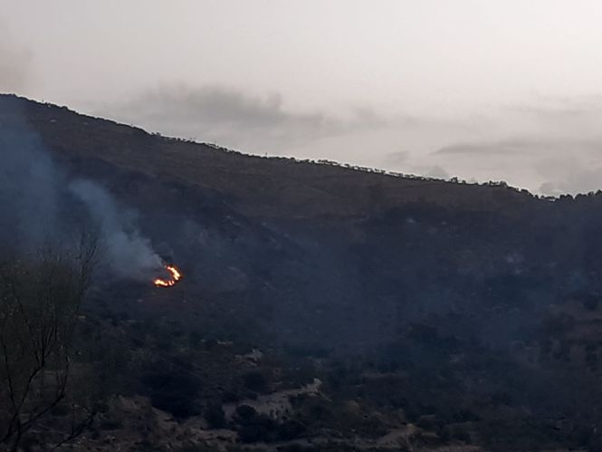Lugar del incendio (INFOCA)