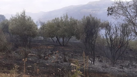 Lugar donde se ha producido el incendio (INFOCA) 