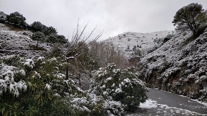 Nevada en Peña Escrita (AYUNTAMIENTO DE ALMUÑÉCAR)