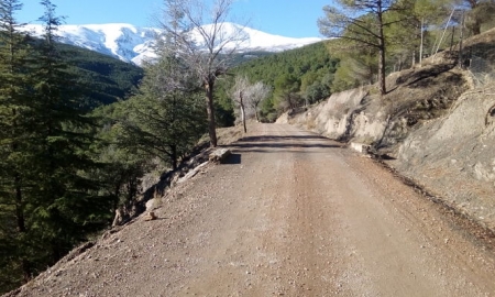 Imagen del sendero (GDR GUADIX)