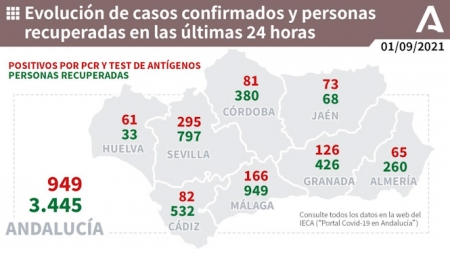 Evolución diaria de la pandemia en Andalucía (JUNTA DE ANDALUCÍA) 