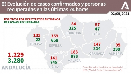 Evolución diaria de la pandemia en Andalucía (JUNTA DE ANDALUCÍA) 
