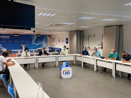 Imagen de la reunión (PP)