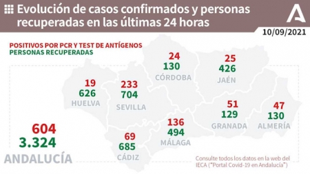 Evolución diaria de la pandemia en Andalucía (JUNTA DE ANDALUCÍA) 
