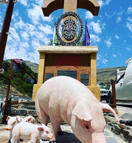 Jamón de Trevélez (AYUNTAMIENTO DE TREVÉLEZ) Jamón de Trevélez (AYUNTAMIENTO DE TREVÉLEZ)