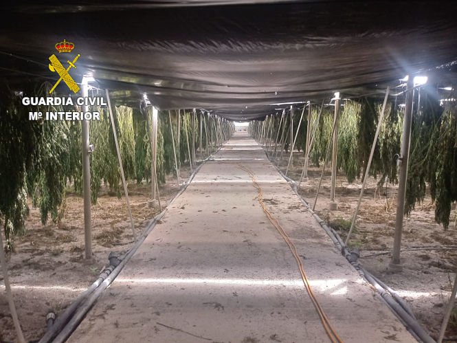 Imagen de uno de los invernaderos (GUARDIA CIVIL) 