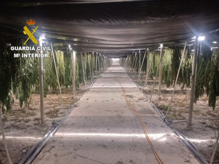 Imagen de uno de los invernaderos (GUARDIA CIVIL) 