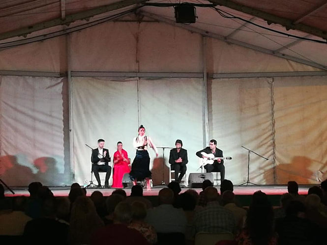 Ediciónd el certamen flamenco de 2019 (AYTO. MONACHIL)