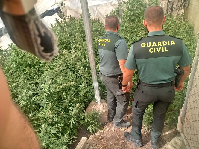 Agentes de la Guardia Civil en una de las plantaciones (GUARDIA CIVIL)