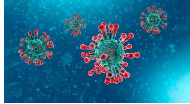 Coronavirus @UPM) 