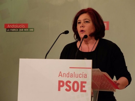 La Diputada nacional del PSOE, Elvira Ramón (PSOE)