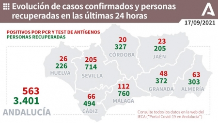 Evolución diaria de la pandemia en Andalucía (JUNTA DE ANDALUCÍA) 