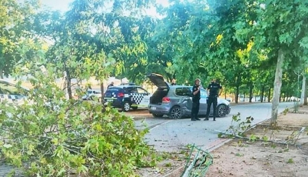 Operación de Policía Local contra la marihuana (POLICÍA LOCAL) 