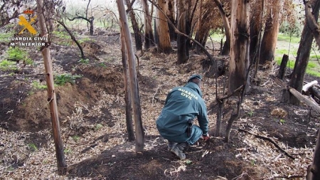Imagen de archivo de un guardia civil en la zona de un incendio. (GUARDIA CIVIL) Imagen de archivo de un guardia civil en la zona de un incendio. (GUARDIA CIVIL)
