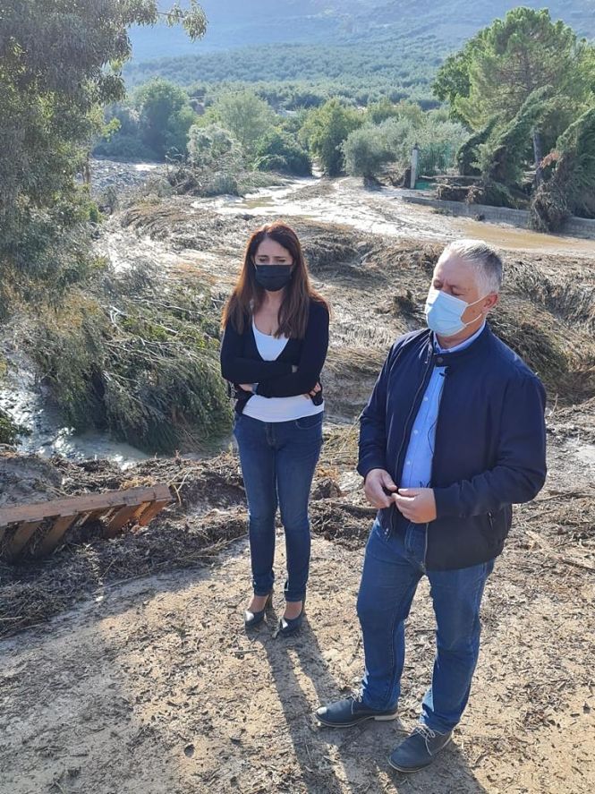 Imagen de la visita a una de las zonas afectadas (DIPUTACIÓN) 