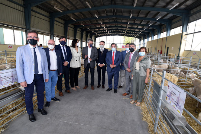 Inauguración de la feria del cordero segureño (R. MARTÍNEZ/ DIPGRA)