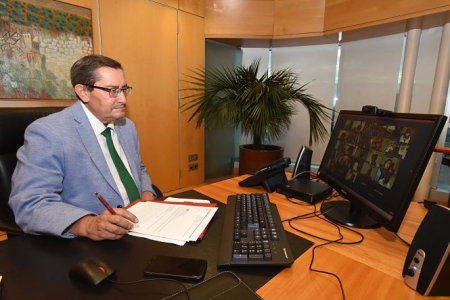 Imagen de la reunión telemática (R. MARTÍNEZ / DIPGRA)